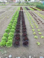 DSCN2610.webp