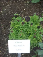 DSCN2630.webp