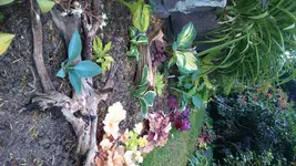 DSC_0069.webp