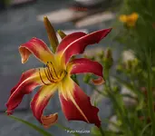 IMG_9887.webp