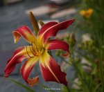 IMG_9887.jpg