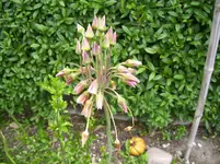 100_1804.webp