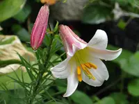 DSC01820.webp