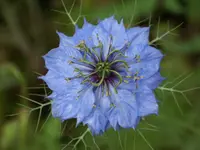 100_6238.webp