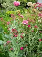DSCN9200.webp
