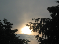 IMG_2037.webp