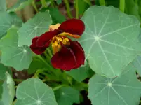 every day 2009 156.webp