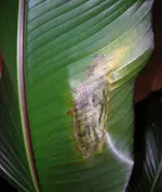 DSCN1196.webp