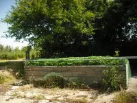 DSCF0263.webp