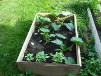 DSCF0368.webp