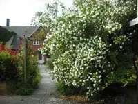 DSCF0326.webp
