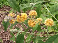 100_2528.webp