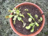 IMGP4933.webp
