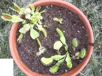 IMGP4935.webp