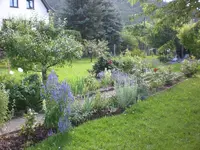 Garten Juli4 003.webp
