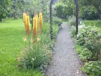Garten Juli4 008.webp