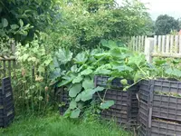 Garten Juli4 010.webp