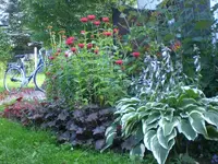 Garten Juli4 020.webp