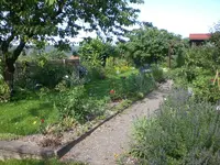 Garten Juli4 023.webp