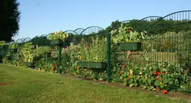 Gartenzaun3.webp
