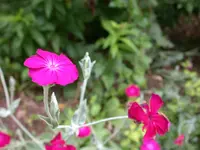 DSCN7190.webp