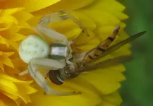 20090703_8849b.webp