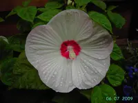 PICT3747.webp