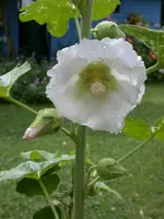 DSCN7215.webp