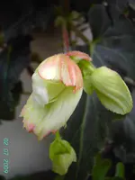 PICT3401.webp
