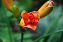 DSC_0003.webp