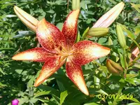 SA500346.webp