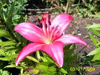 SA500348.webp