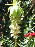 SA500351.webp