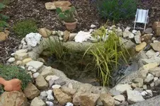 100_1655.webp