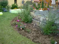 neues Beet andere seite.webp