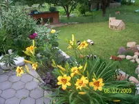 100_1938.webp