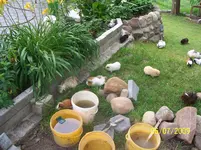 100_1940.webp