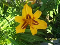 000_0053.webp
