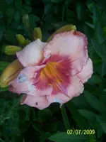 000_0054.webp