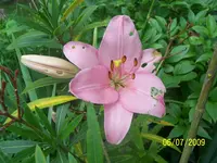 100_1951.webp