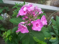 100_1939.webp
