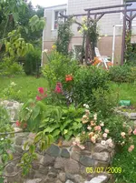 100_1929.webp