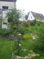 100_1930.webp