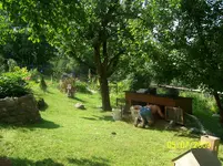100_1936.webp