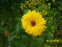 100_1941.webp