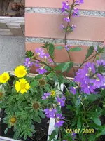 100_1952.webp
