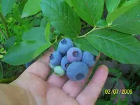 000_0057.webp