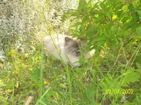000_0051.webp