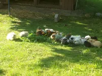 000_0052.webp