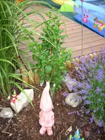Bild 004.webp